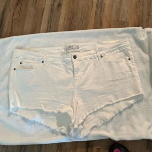 Torrid shorts size 24